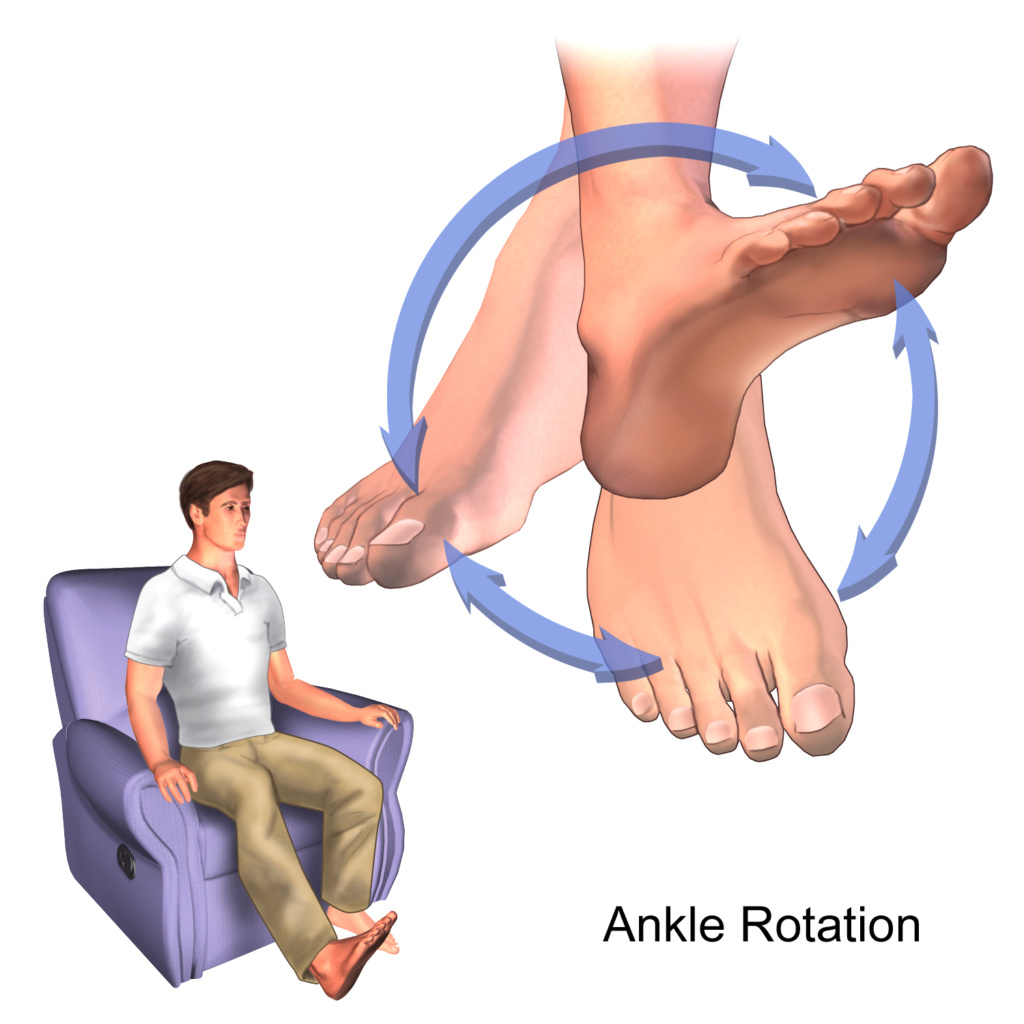 Exercises for the toes, feet and ankles